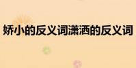 嬌小的反義詞瀟灑的反義詞(嬌小的反義詞)