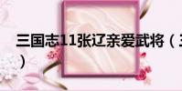 三國志11張遼親愛武將(三國志11張遼變身)