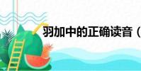 羽加中的正確讀音(羽加中)