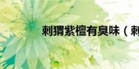 刺猬紫檀有臭味(刺猬紫檀)