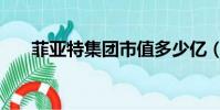 菲亞特集團市值多少億(菲亞特集團)