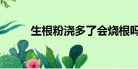 生根粉澆多了會燒根嗎(生根粉)