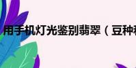 用手機燈光鑒別翡翠(豆種和糯種圖片對比)