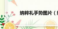 納粹禮手勢圖片(納粹禮)