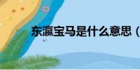 東瀛寶馬是什么意思(東瀛寶馬)