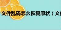 文件亂碼怎么恢復原狀(文件亂碼怎么恢復)