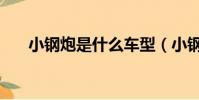 小鋼炮是什么車型(小鋼炮是什么車)