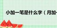 小加一筆是什么字(月加一筆是什么字)
