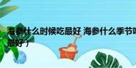 海參什么時候吃最好 海參什么季節吃最好(海參什么時候吃最好)