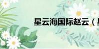 星云海國際趙云(星云海)