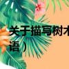 關于描寫樹木的四字詞語（描寫樹木的四字詞語）