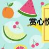 賞心悅目的拼音（賞的拼音）