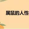 屬鼠的人性格怎么樣男（屬鼠的人性格）