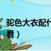 駝色大衣配什么顏色圍巾（駝色配什么顏色好看）