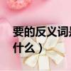 要的反義詞是什么 標準答案（要的反義詞是什么）