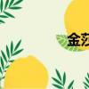 金莎的歌詞（金莎的歌）