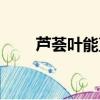 蘆薈葉能直接擦在臉上嗎（蘆薈葉）