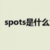 spots是什么意思翻譯（spots是什么意思）