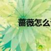 薔薇怎么讀音讀出來（薔薇怎么讀）
