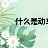 什么是動車組列車?（什么是動車組）