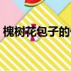 槐樹花包子的做法簡單（槐樹花包子的做法）