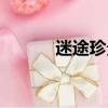 迷途珍貴的意思（珍貴的意思）