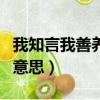 我知言我善養吾浩然之氣的意思（浩然之氣的意思）