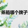蒸箱哪個牌子好用質量好（蒸箱哪個牌子好）