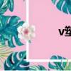v塑美雕是什么（v塑）