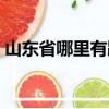 山東省哪里有蹦極的（山東哪有蹦極的地方）