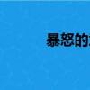 暴怒的意思解釋（暴怒的意思）