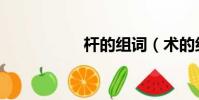 桿的組詞(術的組詞)