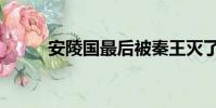 安陵國最后被秦王滅了嗎(安陵)