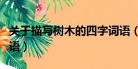 關于描寫樹木的四字詞語(描寫樹木的四字詞語)