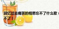 回憶過去痛苦的相思忘不了什么歌(回憶過去痛苦的相思忘不了)