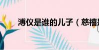 溥儀是誰的兒子(慈禧是誰的老婆)