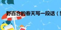 野百合的春天寫一段話(野百合的春天)