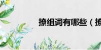 撩組詞有哪些(撩組詞)