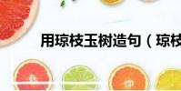 用瓊枝玉樹造句(瓊枝玉樹造句)