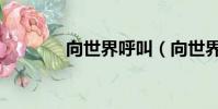 向世界呼叫(向世界呼喊吧)