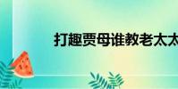 打趣賈母誰教老太太(打趣)