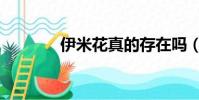 伊米花真的存在嗎(伊米花)