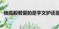 獨孤般若愛的是宇文護還是宇文毓(獨孤般若)