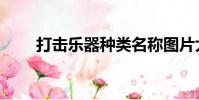 打擊樂器種類名稱圖片大全(打擊)