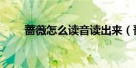 薔薇怎么讀音讀出來(薔薇怎么讀)