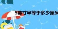 5英寸半等于多少厘米(5英寸)