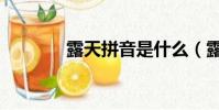 露天拼音是什么(露天拼音)