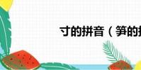 寸的拼音(筍的拼音)