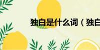獨白是什么詞(獨白的意思)