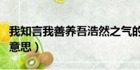 我知言我善養吾浩然之氣的意思(浩然之氣的意思)
